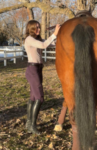TREWS D' SPORT 2.0 - marchioness(plum) K/P riding tights