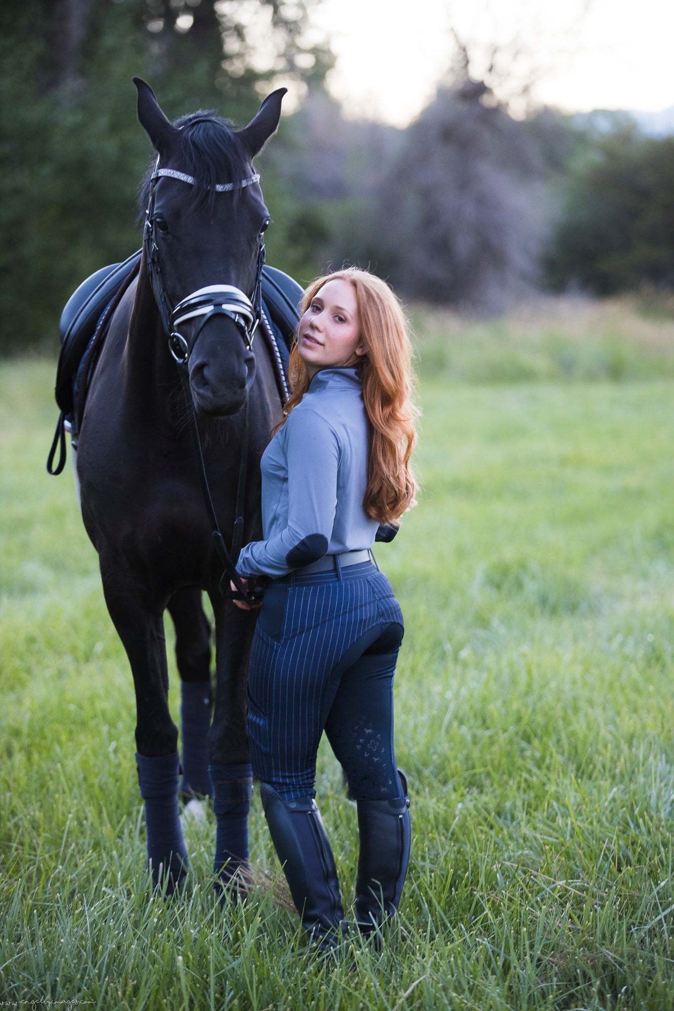 TREWS D' CLASSICO 2.0 - navy pinstripe F/S riding tights